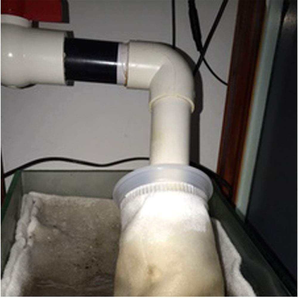ALEGI filter socks in sump setup reduce noise and splash.