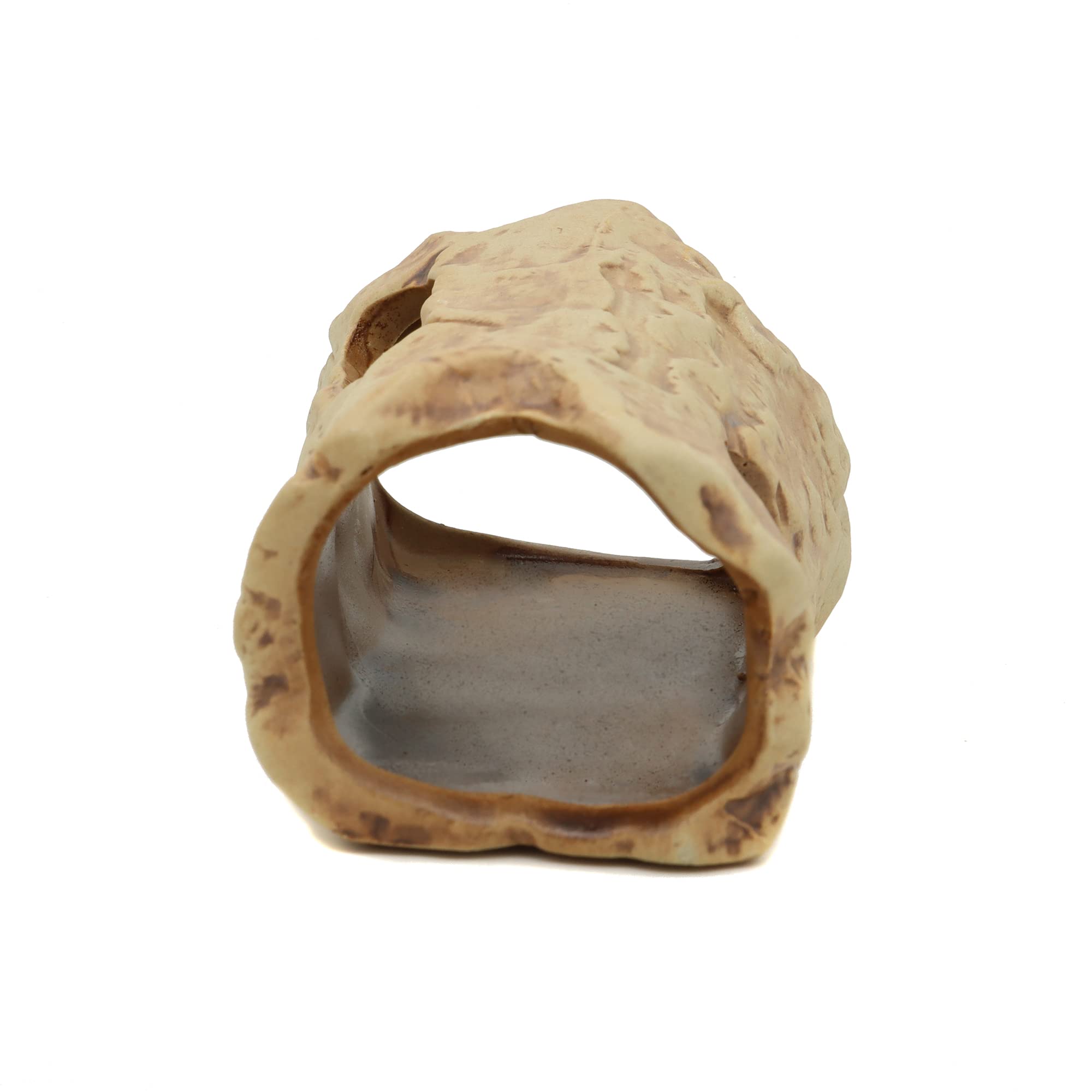 ALEGI log decor shows resting and hiding space in the tank