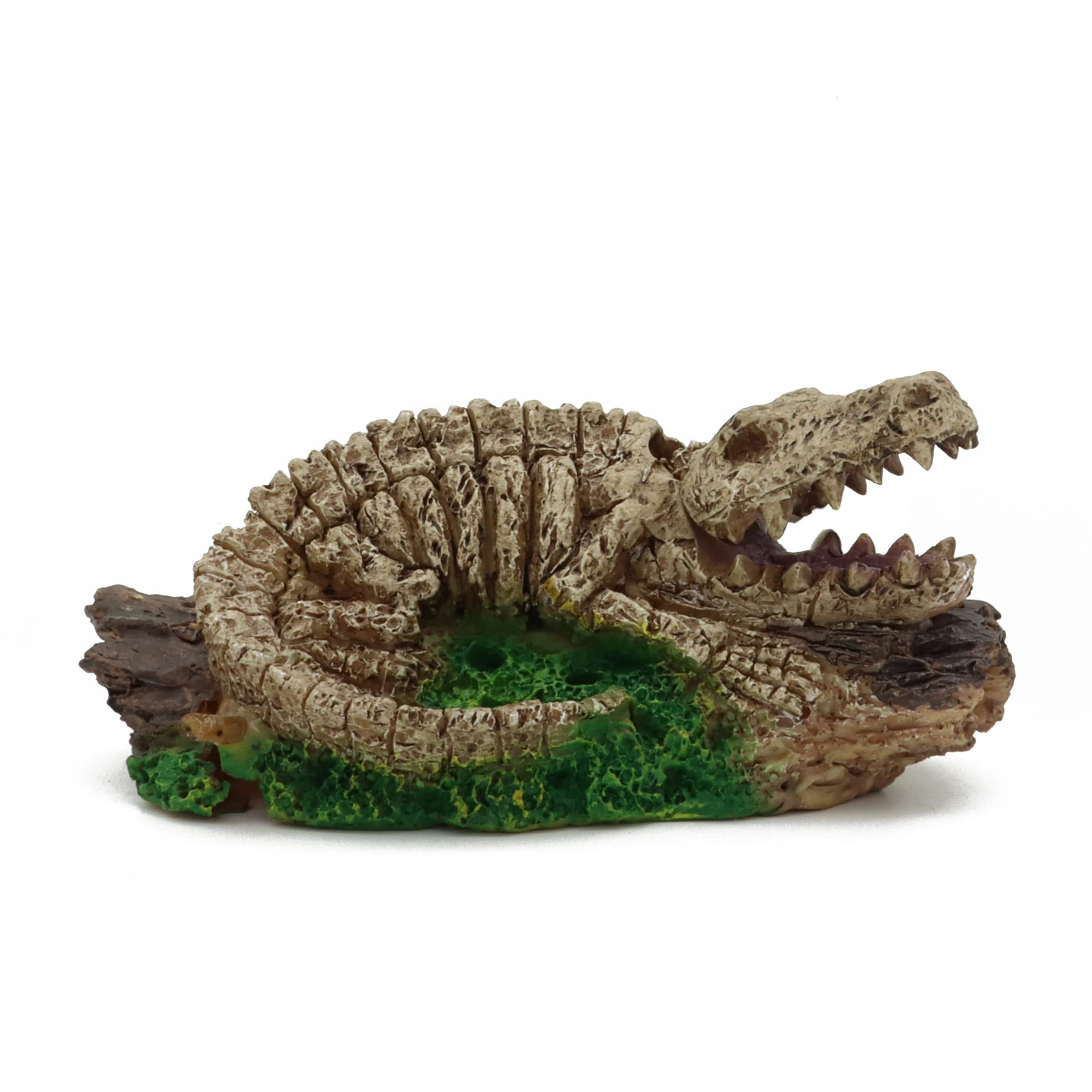 ALEGI Dinosaur Bubbler in tank scene enhances decor while aerating water.