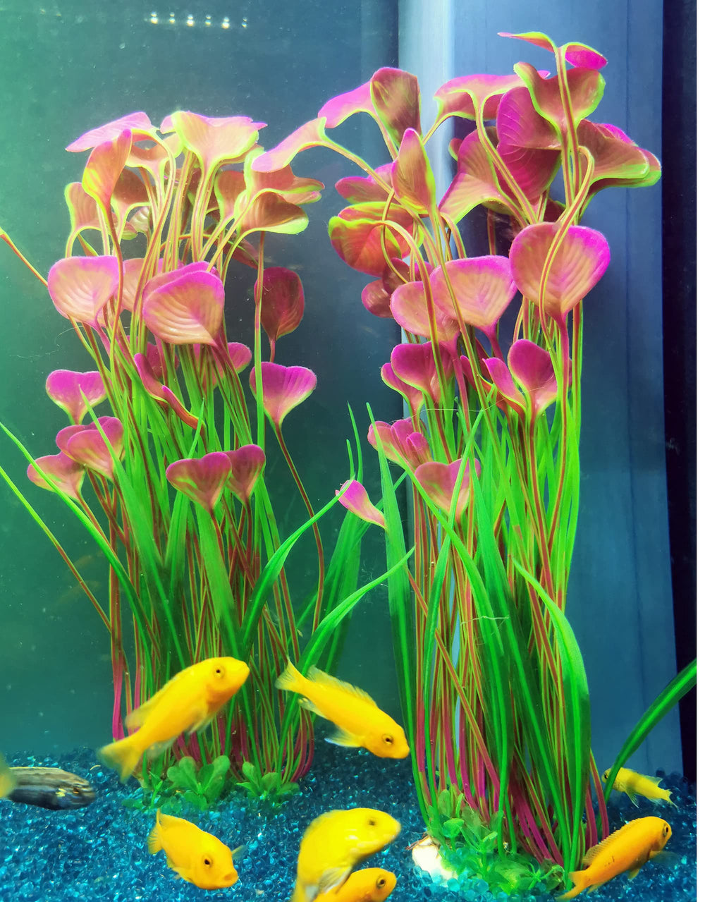 ALEGI plastic plant set in red brightens aquarium scenery and provides swim-through cover.