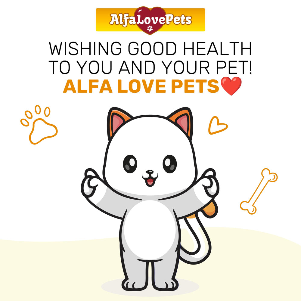 Alfa Love Pets cat in action highlights daily mobility support.