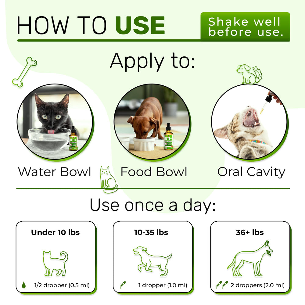 Alfa Love Pets cat-kidney-support shows targeted kidney care for felines during urinary health routines.