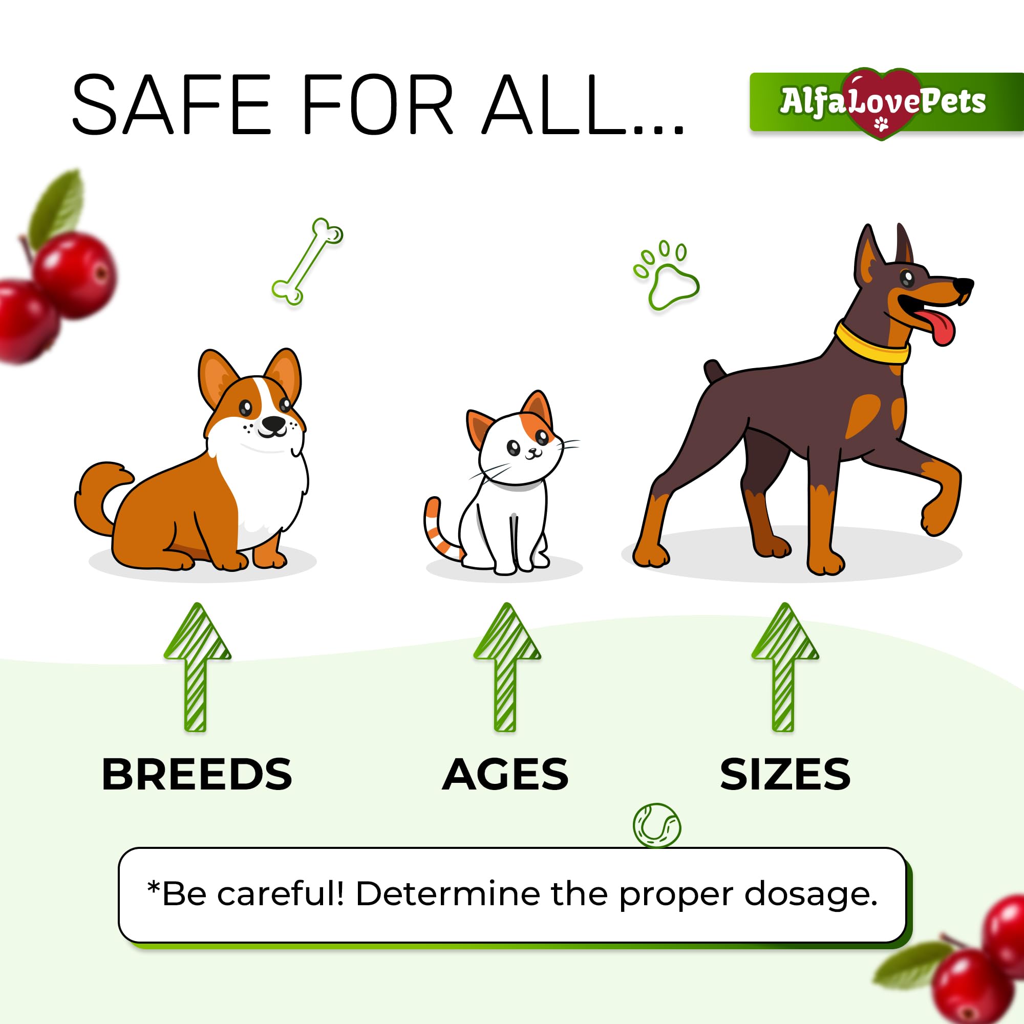 Alfa Love Pets dog-kidney-support image emphasizes gentle kidney care for dogs of all ages.