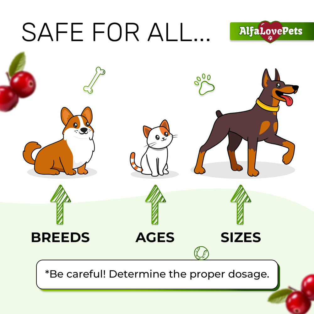 Alfa Love Pets dog-kidney-support image emphasizes gentle kidney care for dogs of all ages.