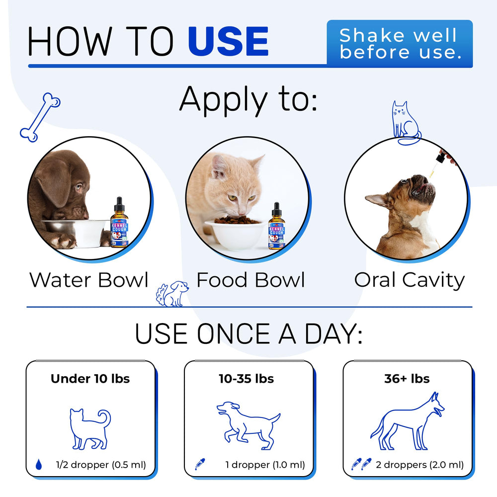 Alfa Love Pets kennel cough for cats and dogs in daily routine.