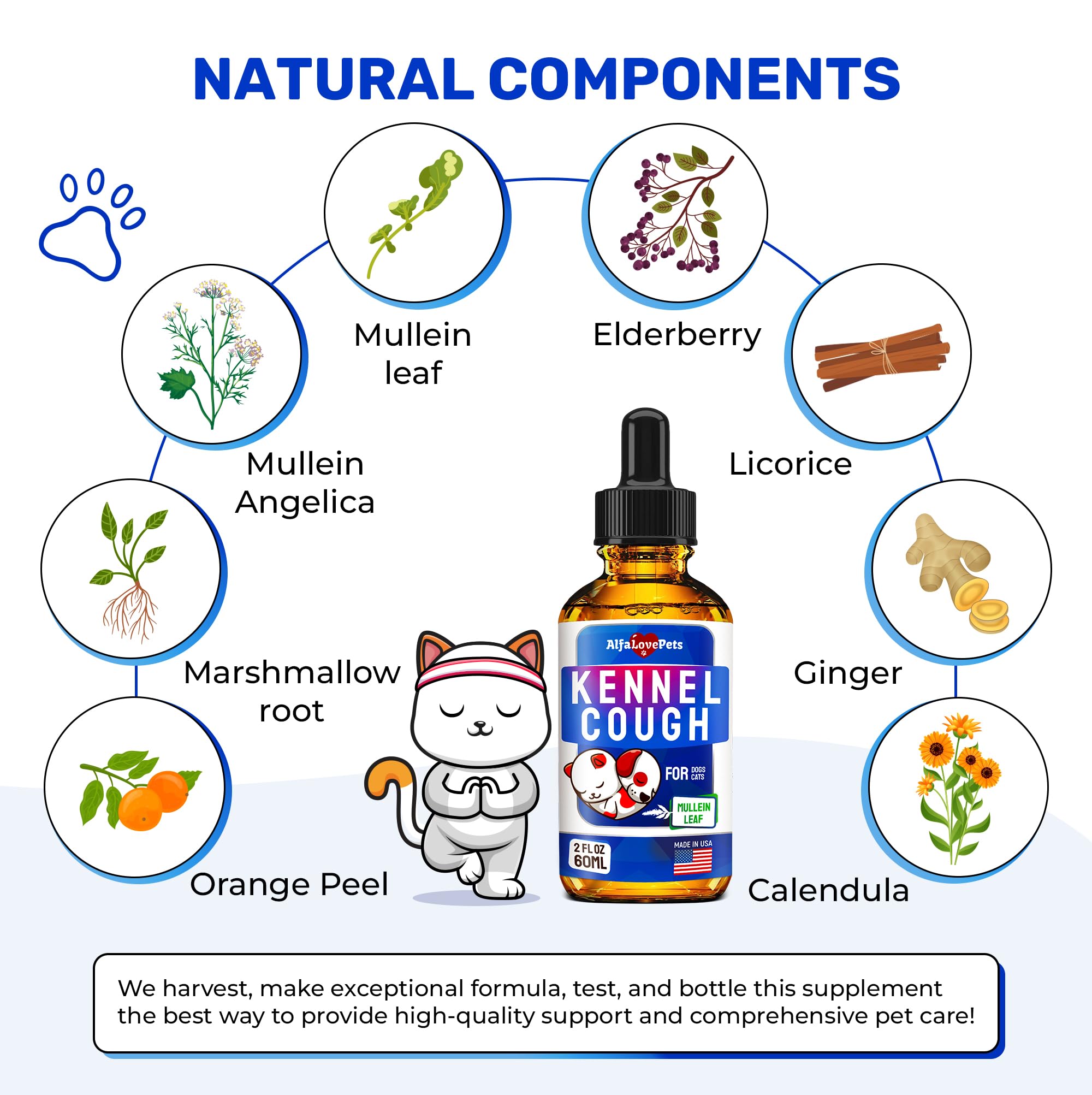 Alfa Love Pets kennel cough dog supplement in use for daily care.