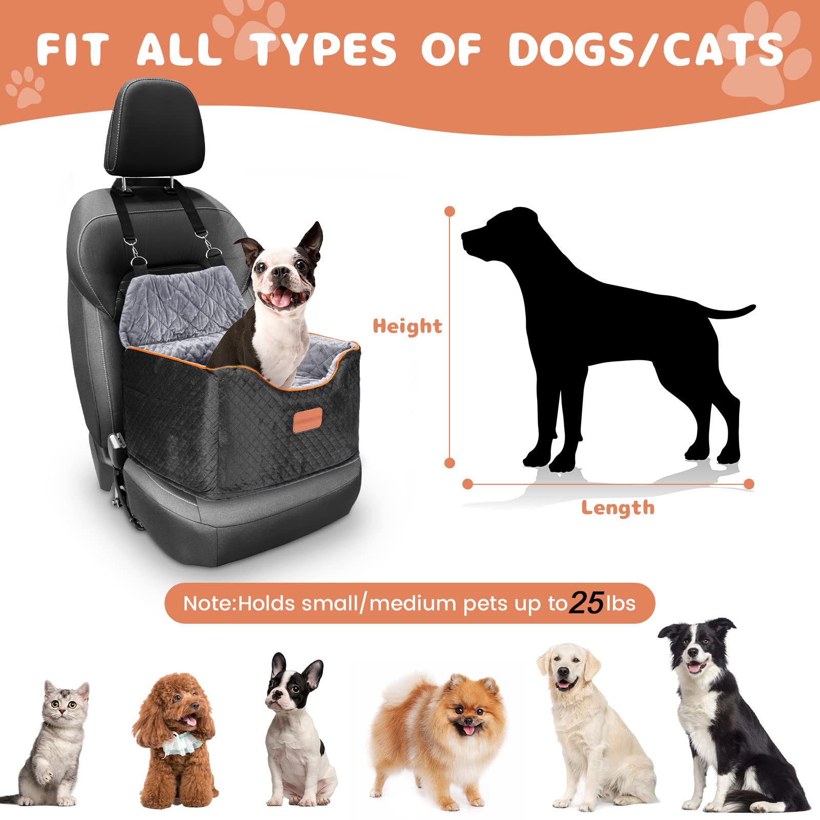 AlfaTok memory foam booster seat adjustable-leash shows secure harness attachment.