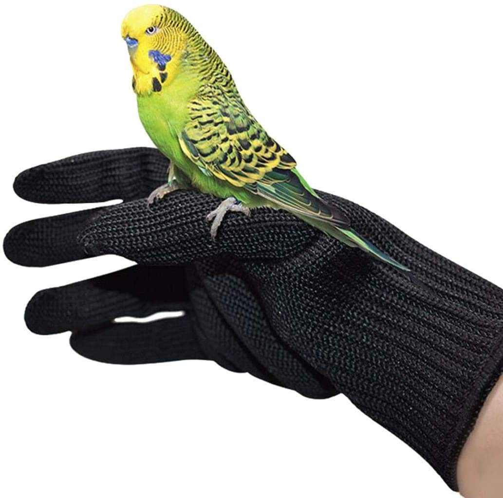 Alfyng Bird Training Anti-Bite Gloves shown during feeding with a parrot.