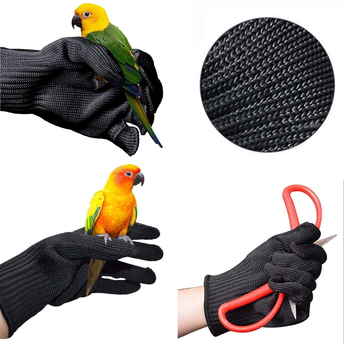 Alfyng Gloves for birds during nail trimming and grooming.