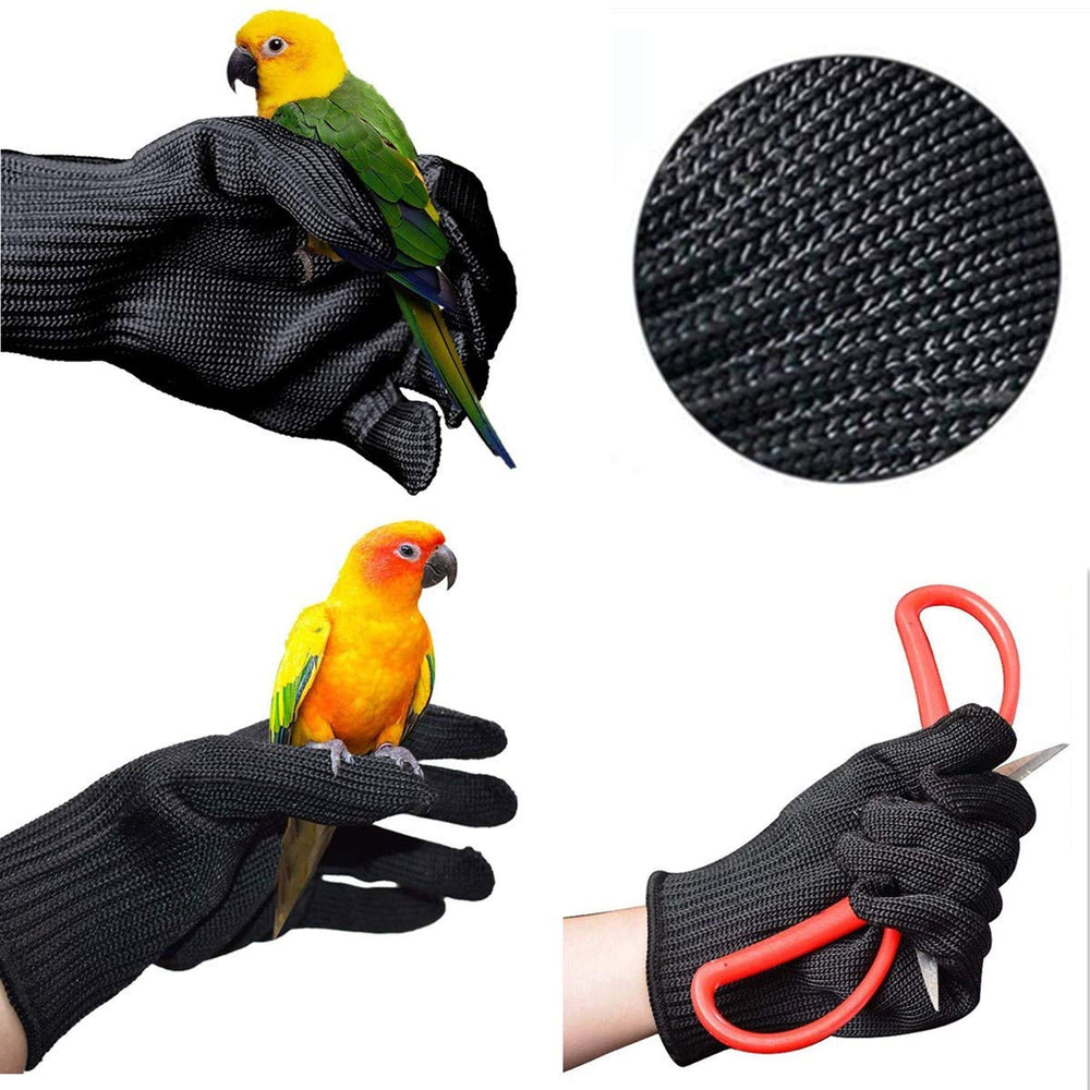 Alfyng Gloves for birds during nail trimming and grooming.