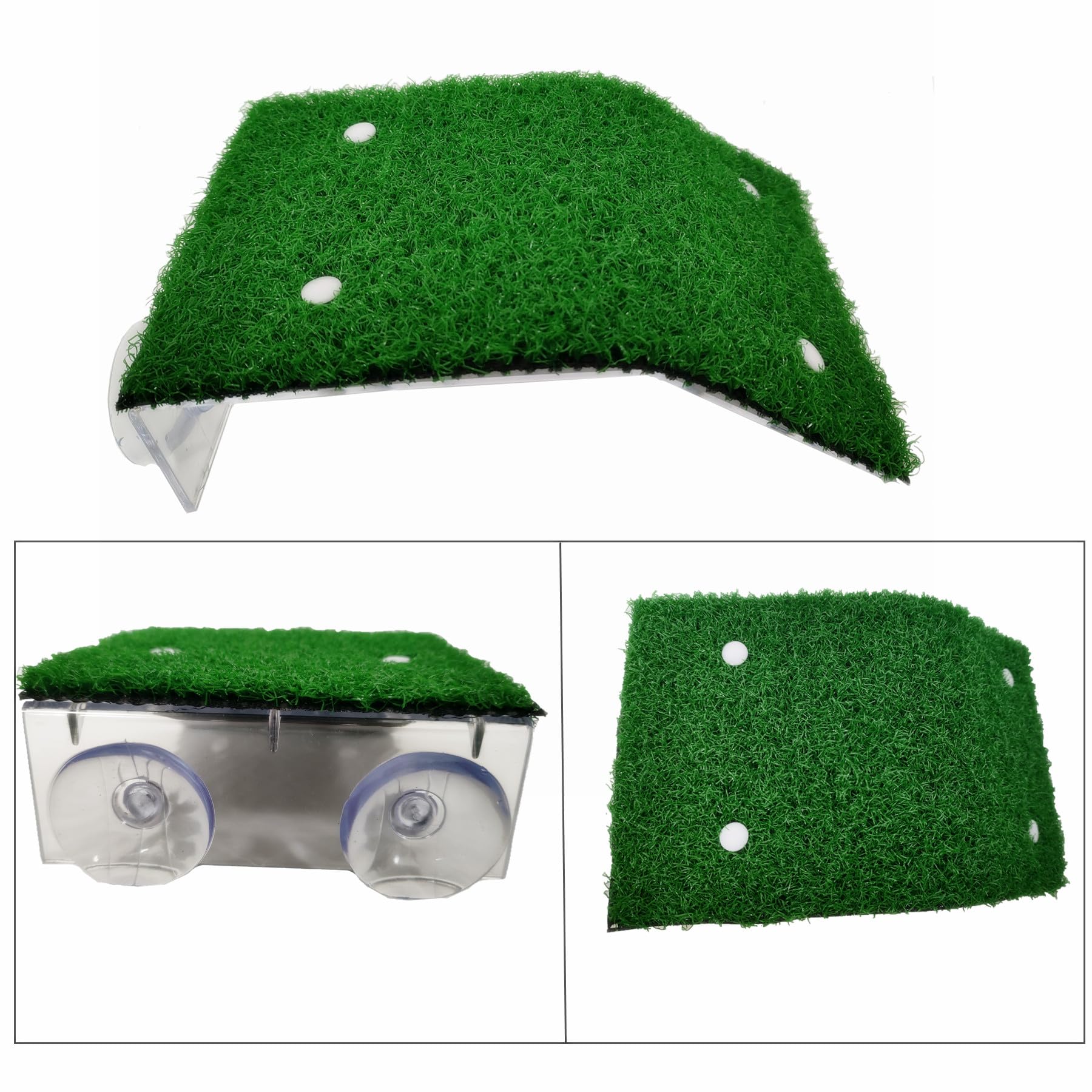 Alfyng turtle ladder resting terrace captures compact, versatile decor for small terrariums.