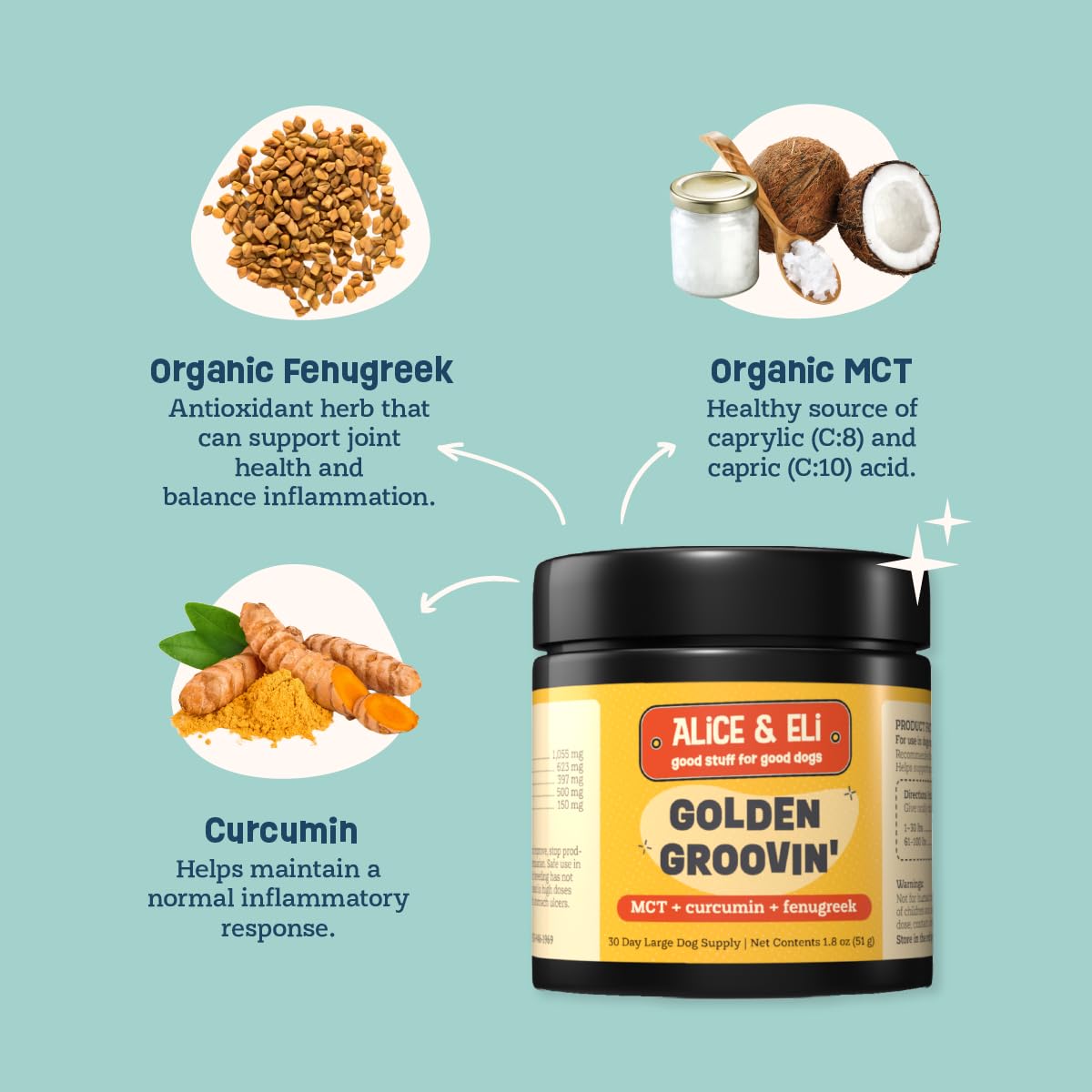 Alice & Eli Golden Groovin' turmeric-curcumin powder closeup for absorption.