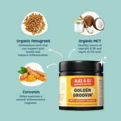 Alice & Eli Golden Groovin' turmeric-curcumin powder closeup for absorption.