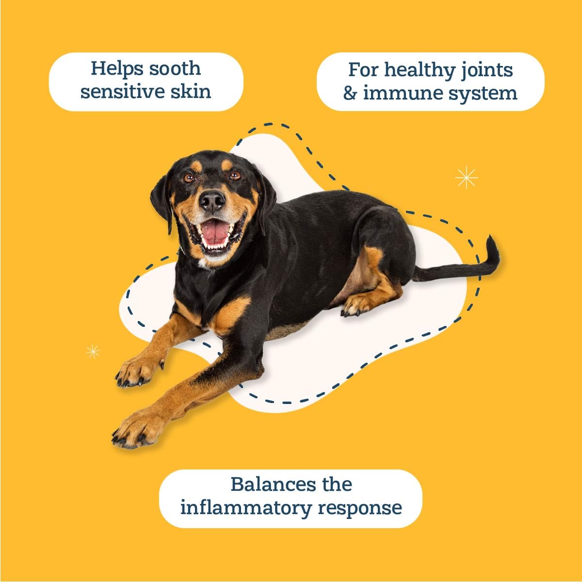 Alice & Eli Happy Skin quercetin-liposomal label close-up suggesting anti-itch support.