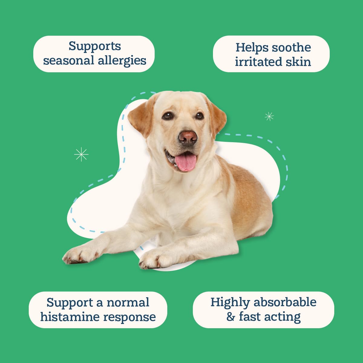 Alice & Eli Quercetin for Dogs paw closeup showing soothing support for itchy skin