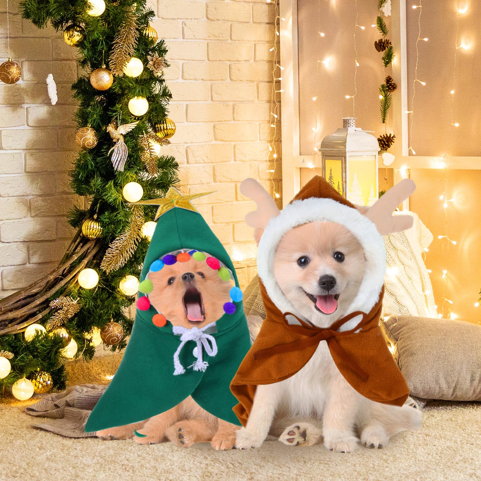 Aliceset green cape cat costume offers vibrant Christmas style