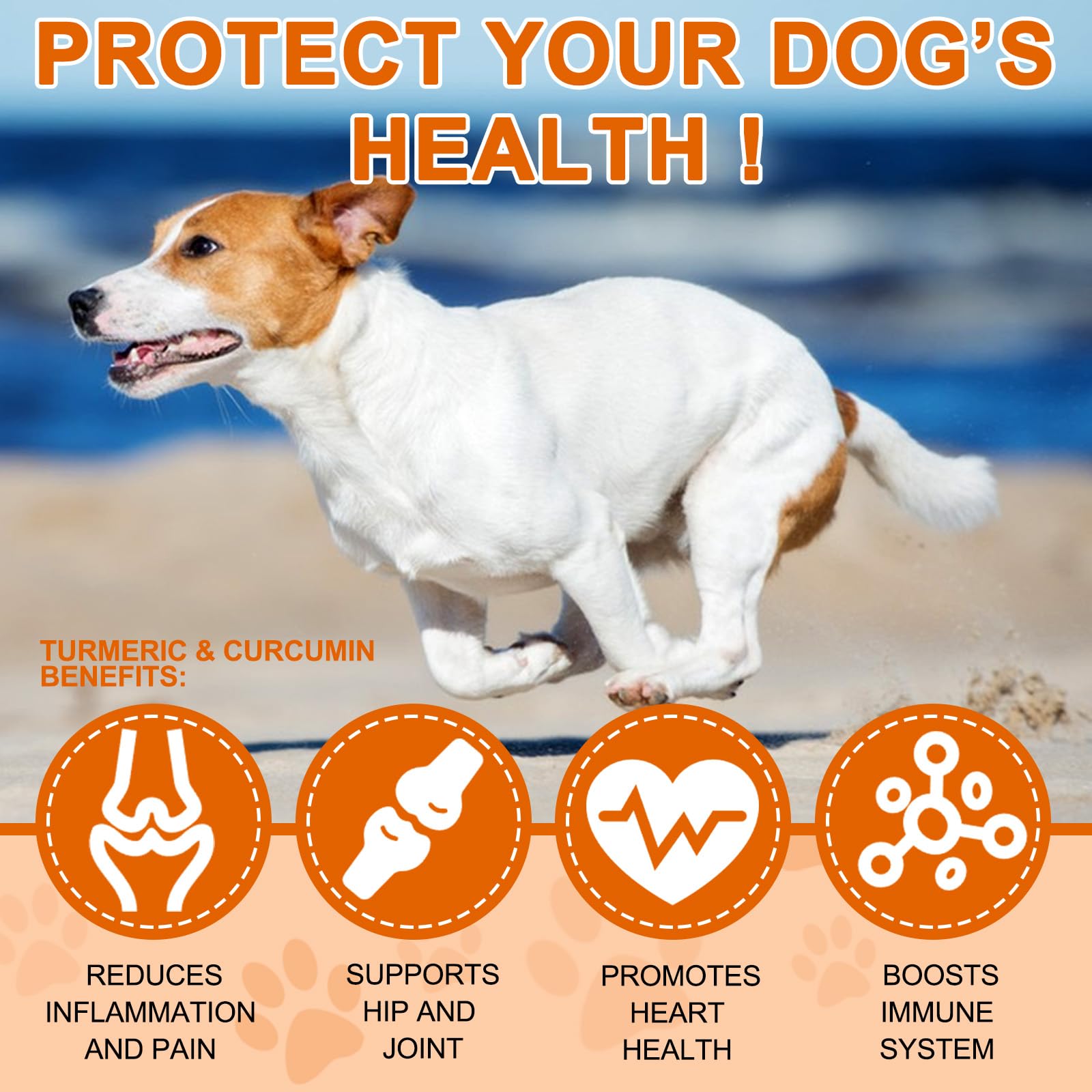 ALIVO turmeric ingredients BioPerine and turmeric root enhance absorption