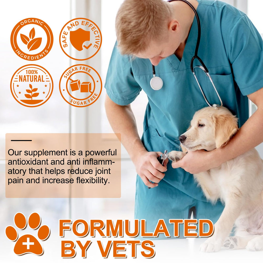 ALIVO turmeric for dogs activity shot suggesting daily joint-friendly routines