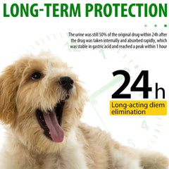 ALIVO dog health liquid bottle illustrating urinary tract and digestion support