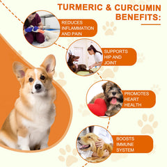 ALIVO dog joint-support tablets helping comfortable movement during activities