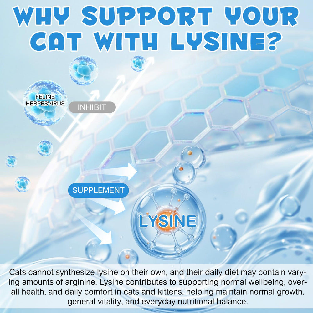 ALIVO L-Lysine cat coat shine after using the supplement