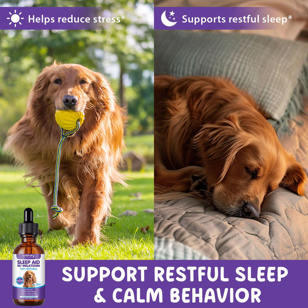 ALIVO melatonin dog sleep drops dropper ready for use