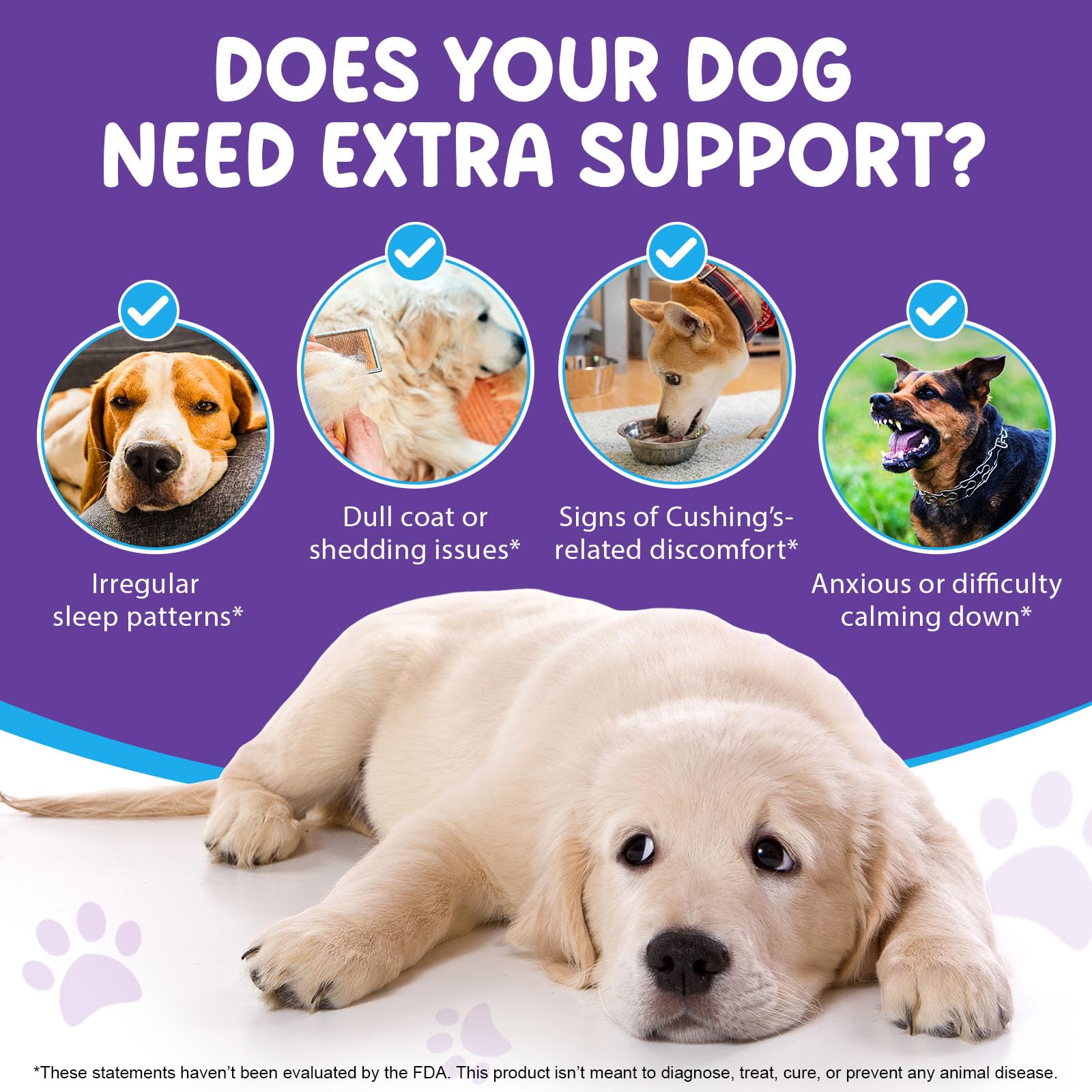 ALIVO melatonin dog sleep drops elderly dogs use