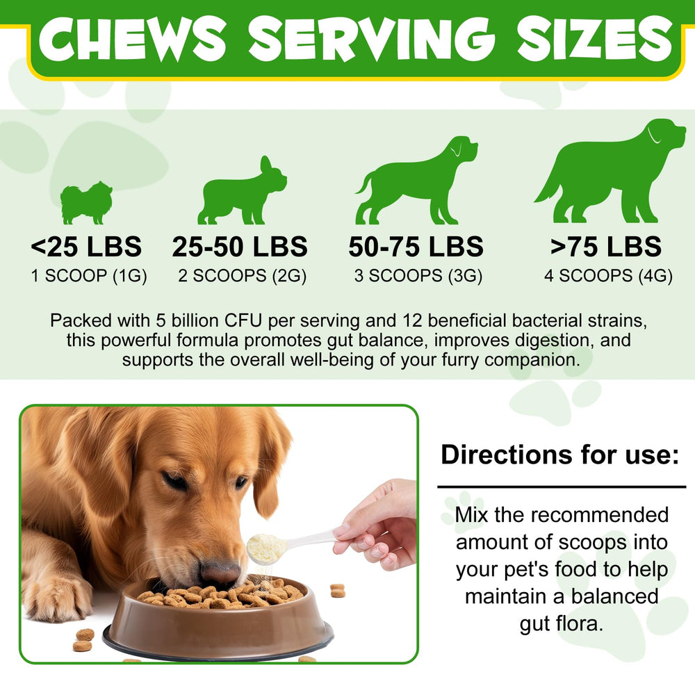 ALIVO dog probiotic powder in bowl with kibble to support digestion