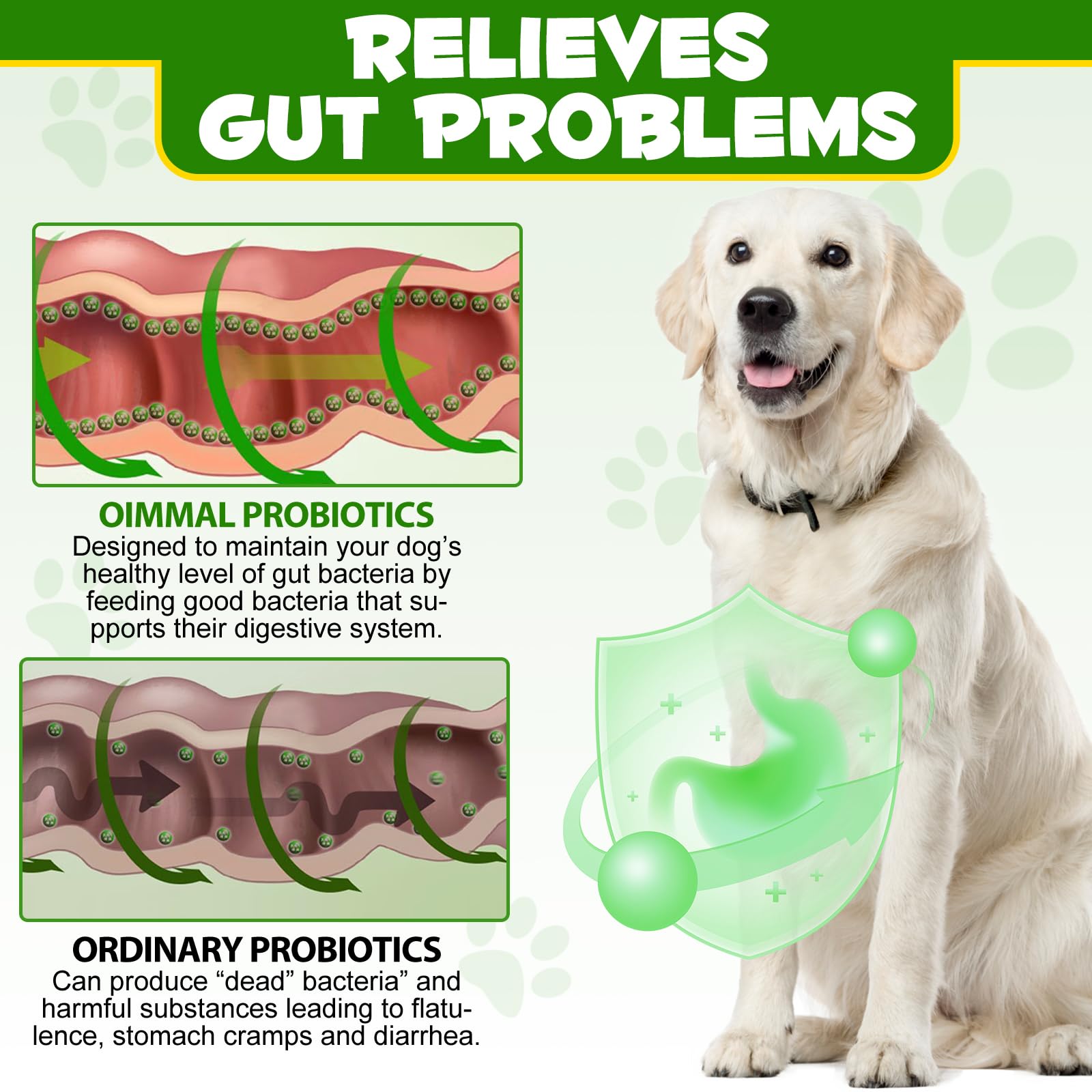 ALIVO probiotic powder being added to meals for daily gut balance