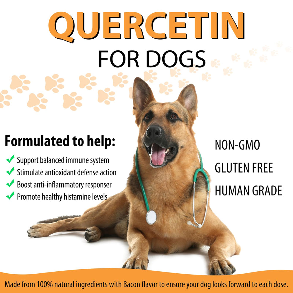 ALIVO Quercetin for Dogs dropper in action, convenient dosing for multiple weight ranges.