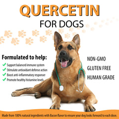 ALIVO Quercetin for Dogs dropper in action, convenient dosing for multiple weight ranges.