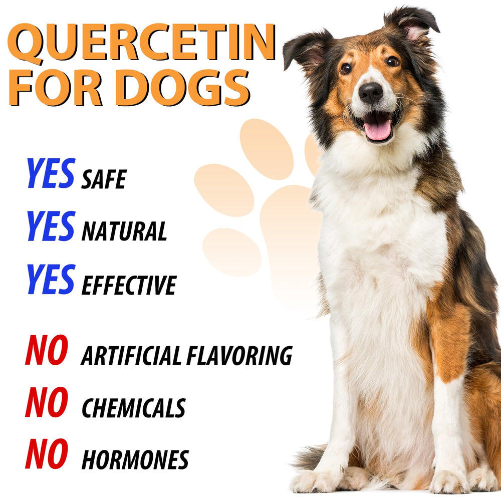 ALIVO Quercetin for Dogs bottle next to bowl, supports overall wellness possibilities.