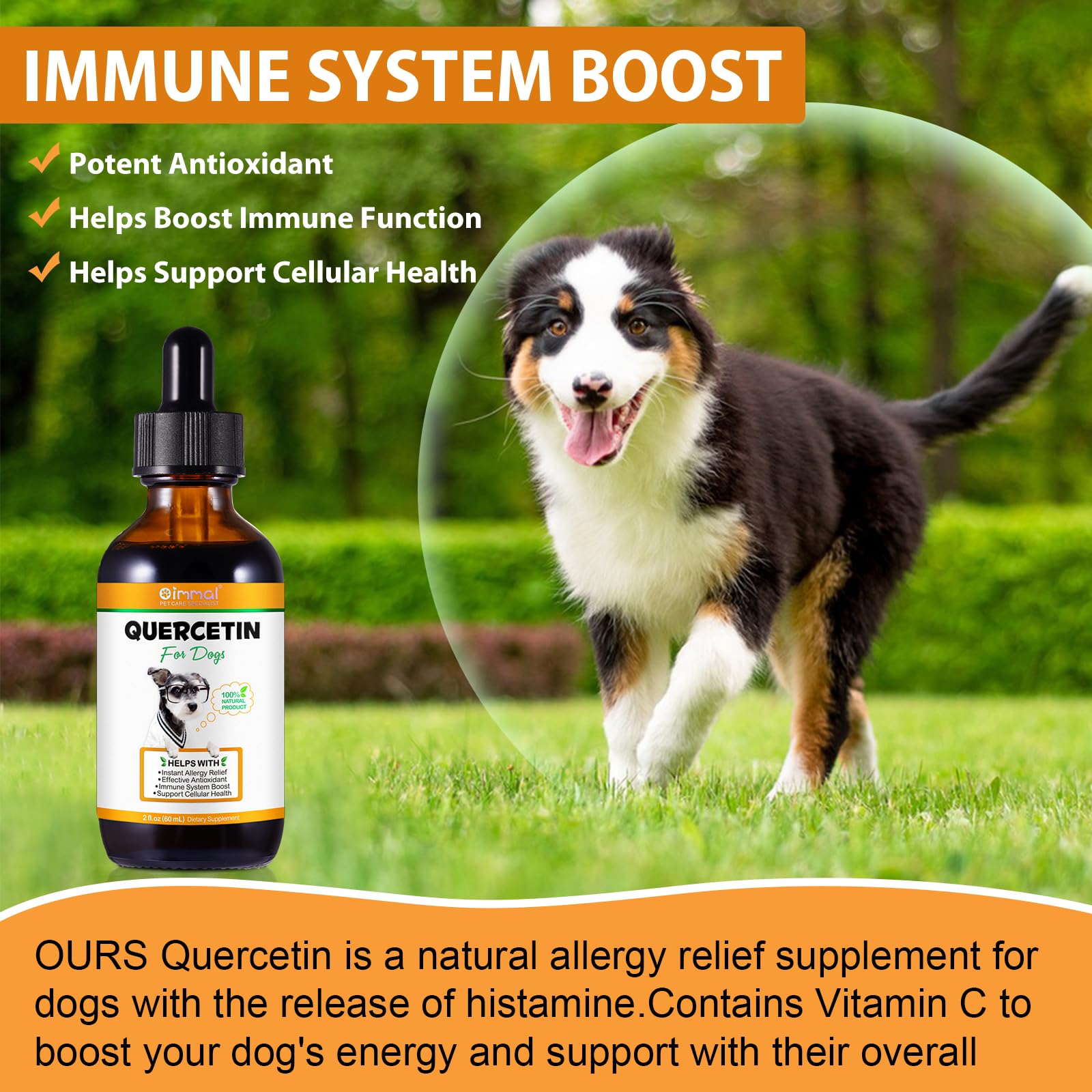 ALIVO Quercetin for Dogs label close-up highlighting sugar-free, non-GMO formula.