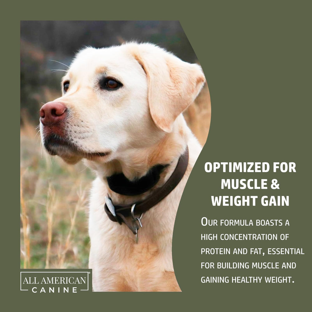 All American Canine beef liver powder adds vitamins and minerals for energy and overall health.