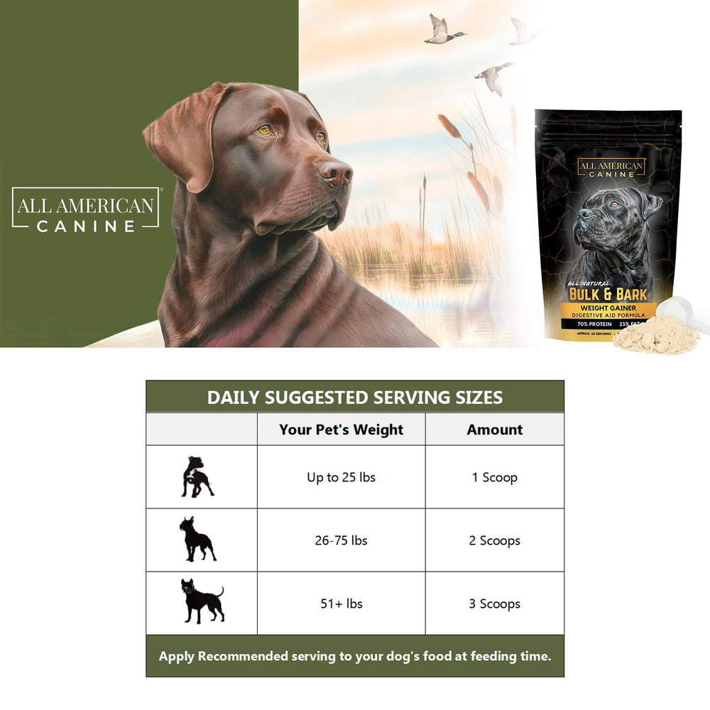 All American Canine powdered beef broth flavor topping makes meals tastier for picky eaters.