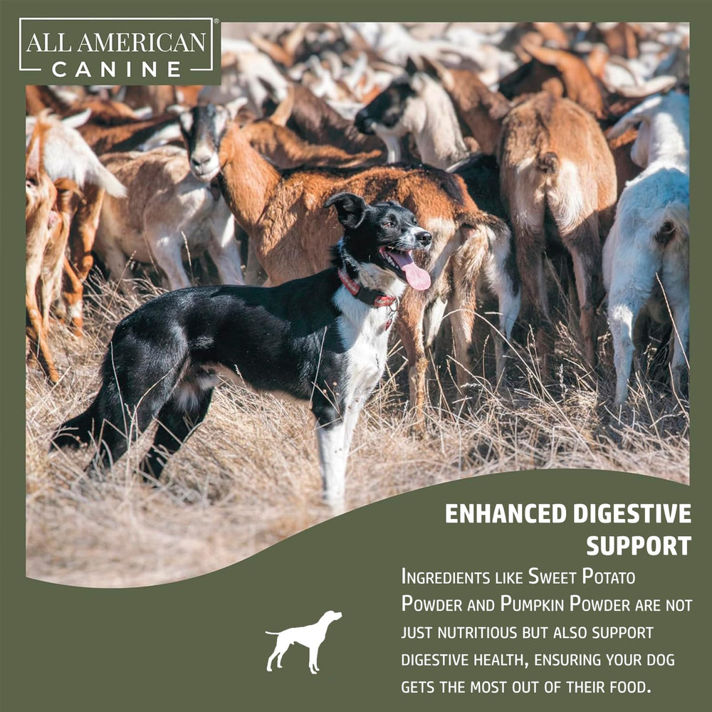 All American Canine probiotic blend promotes gut health and balanced digestion for dogs.
