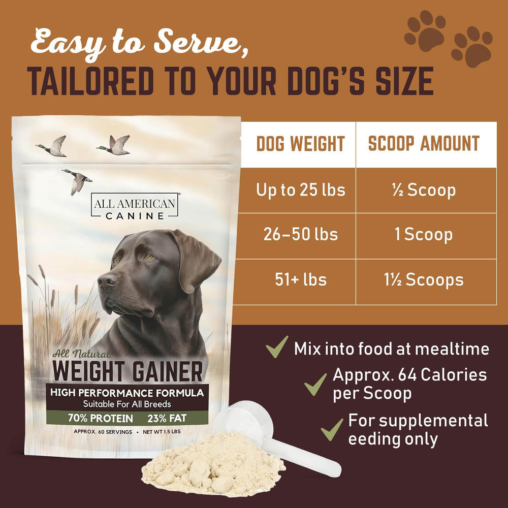 All American Canine Weight Gainer scoop shown as dogs enjoy an energy-boosting meal.