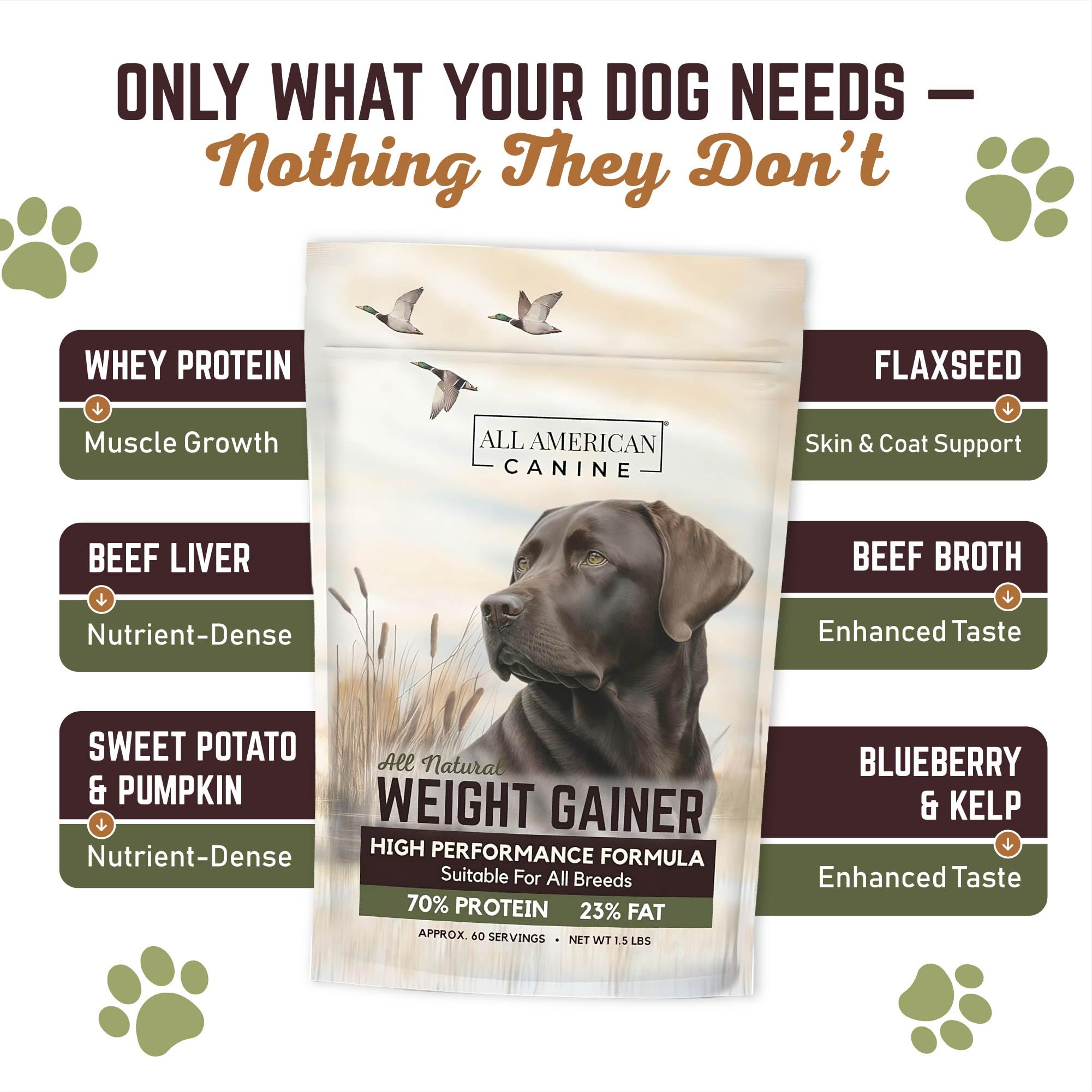 All American Canine Weight Gainer in bowl shows tasty mix my dogs enjoy during mealtime.