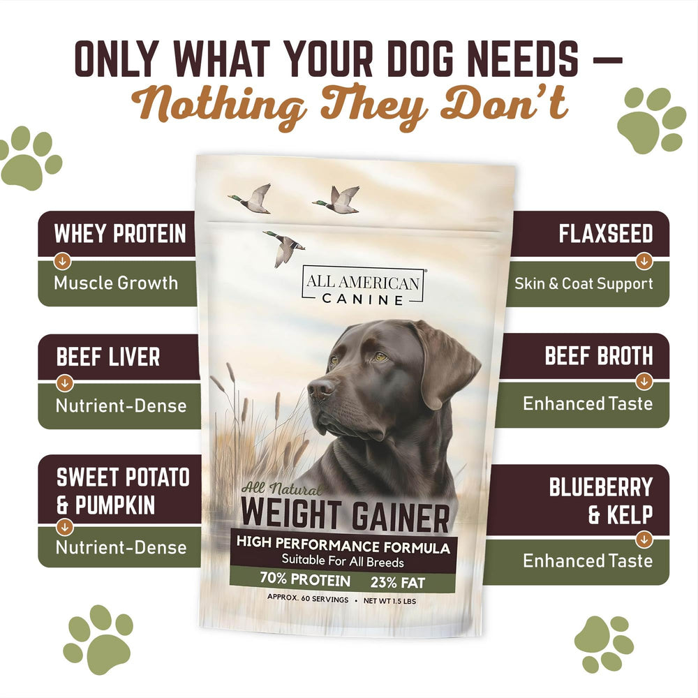 All American Canine Weight Gainer in bowl shows tasty mix my dogs enjoy during mealtime.