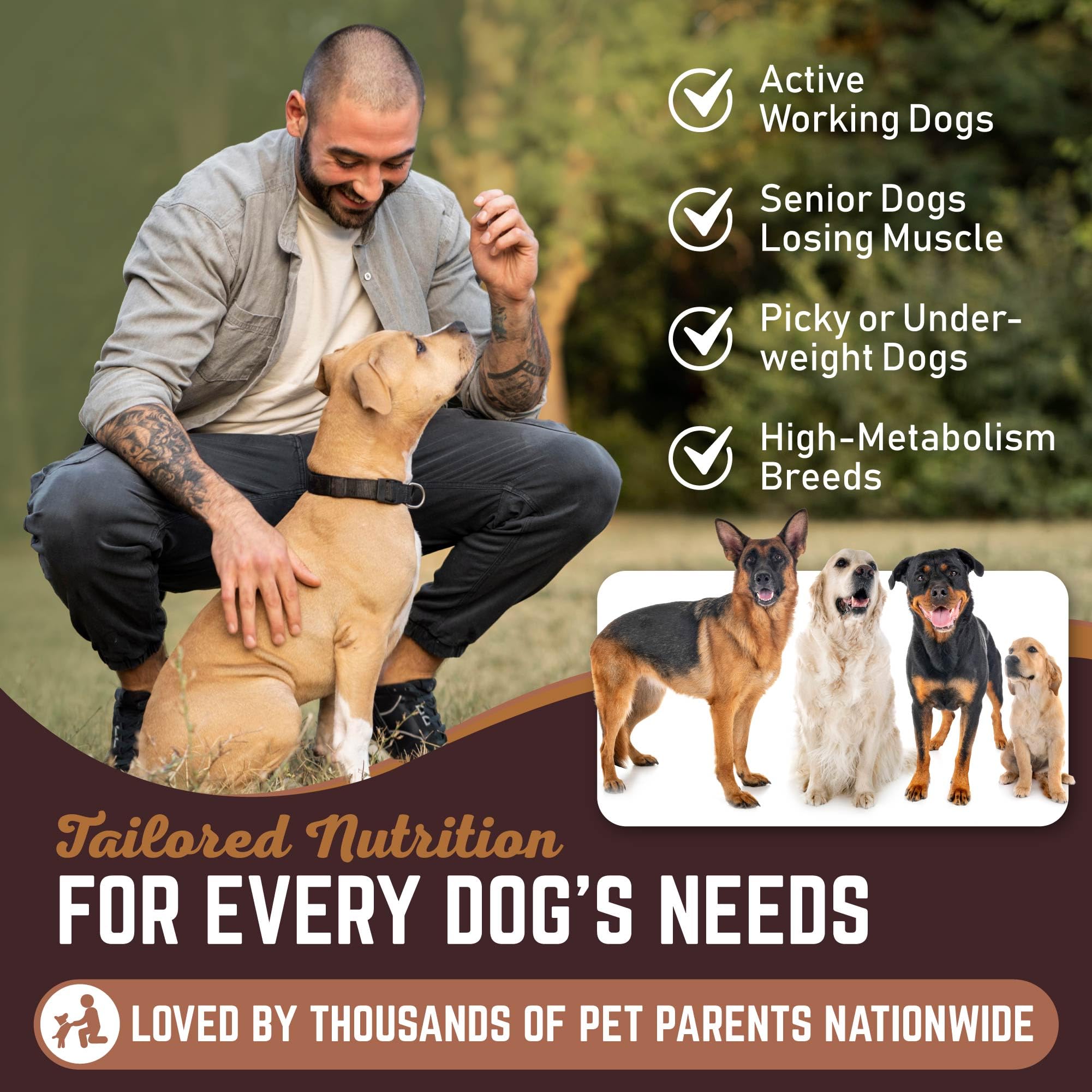 All American Canine Weight Gainer label shows Made in USA reassurance of quality.