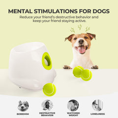All For Paws 2-inch balls pack ready for immediate, safe fetch sessions.