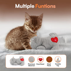 ALL FOR PAWS cat stress-relief toy demonstrates soothing presence during anxious moments