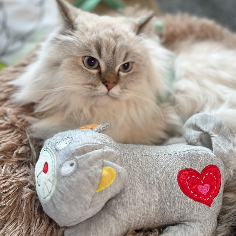 ALL FOR PAWS warm-bag cat toy demonstrates caregiver-friendly setup for soothing evenings