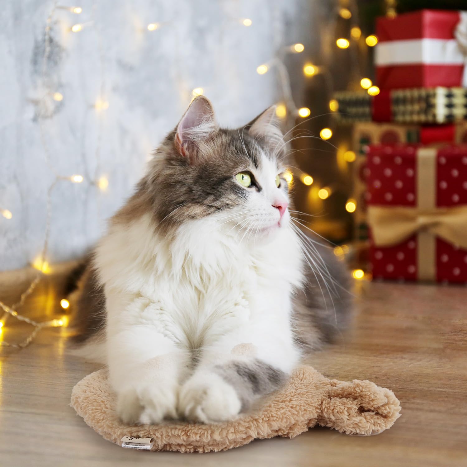 ALL FOR PAWS arthritic-pets support image hints at eased joint warmth.