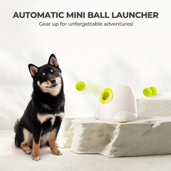 All For Paws Automatic Ball Launcher with balls included ready to play fetch