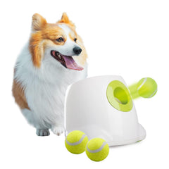 All For Paws Automatic Ball Launcher front view demonstrates indoor fetch setup and action