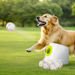 All For Paws automatic ball launcher in backyard setup for active fetch sessions.