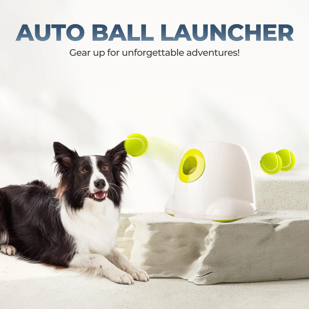 ALL FOR PAWS safe durable design conveys pet-friendly materials for reliable playtime