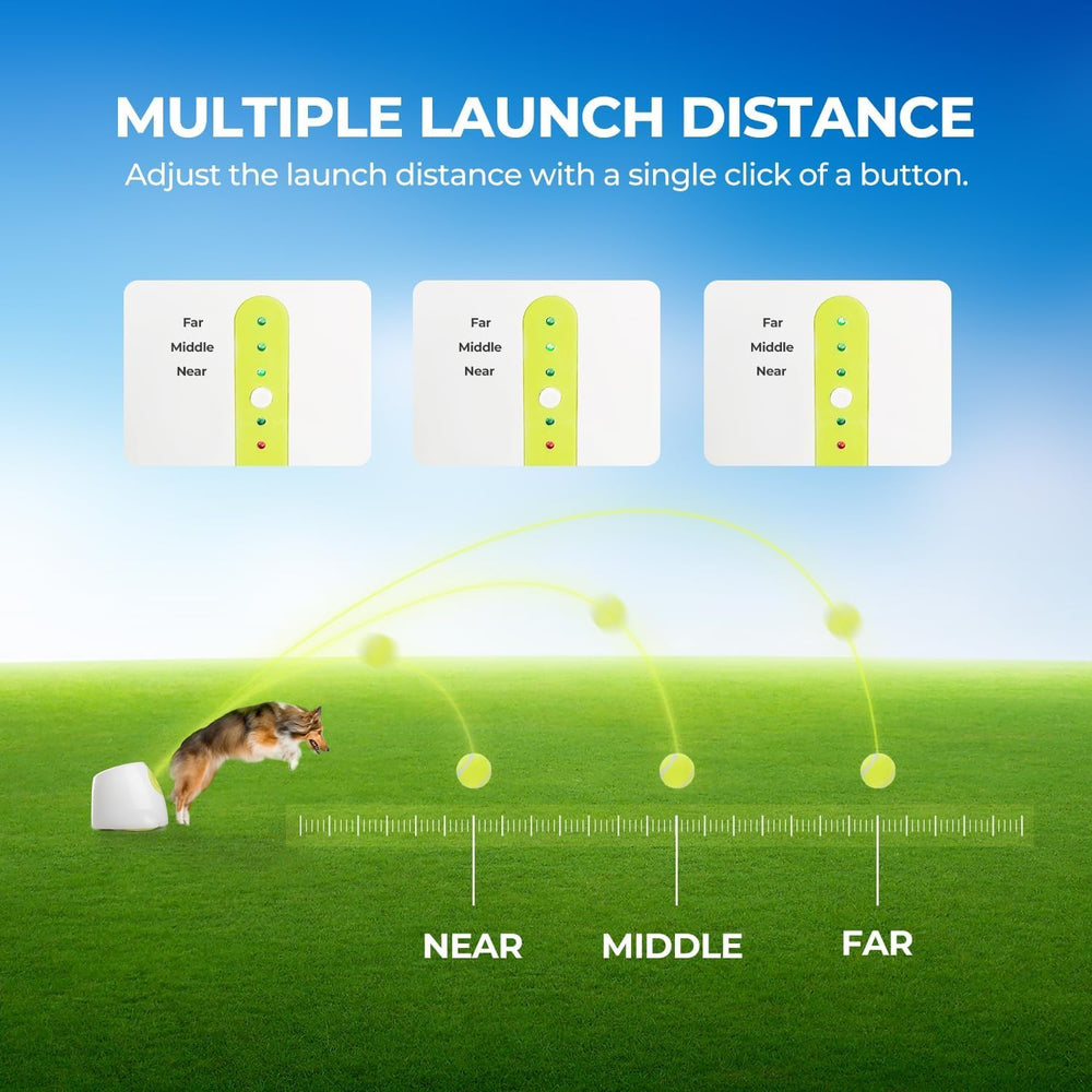 ALL FOR PAWS launcher side action captures your dog mid-fetch during backyard training sessions