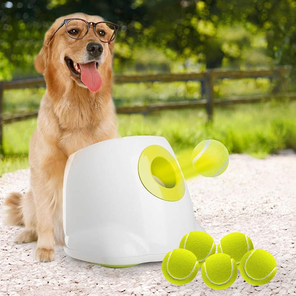 ALL FOR PAWS ball launcher backyard session boosts outdoor play and independence.
